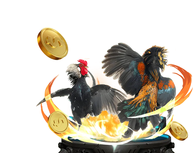 Khuyến mãi hàng ngày và hoàn trả